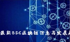 2023年最新BSC区块链信息与发展趋势分析