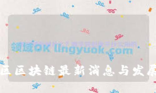 庐阳区区块链最新消息与发展动态