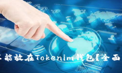 瑞波币为什么不能放在Tokenim钱包？全面解析与风险提示