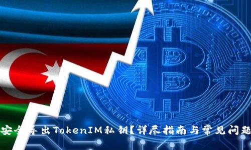 如何安全导出TokenIM私钥？详尽指南与常见问题解析