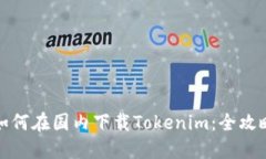 如何在国内下载Tokenim：全攻略