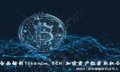 全面解析Tokenim BCH：加密资产投资新机会