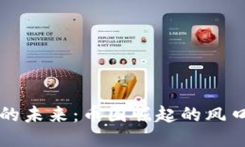 区块链的未来：币圈崛起的风口与挑战