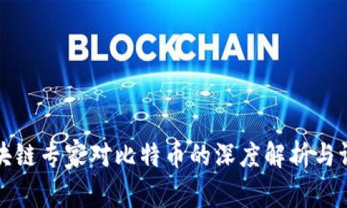 区块链专家对比特币的深度解析与评价
