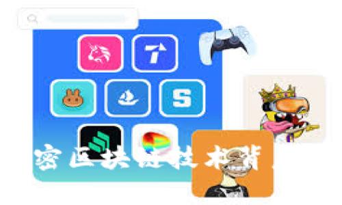 币码翁：解密区块链技术背后的先锋力量