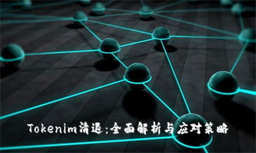 Tokenim清退：全面解析与应对策略