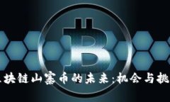 区块链山寨币的未来：机会与挑战