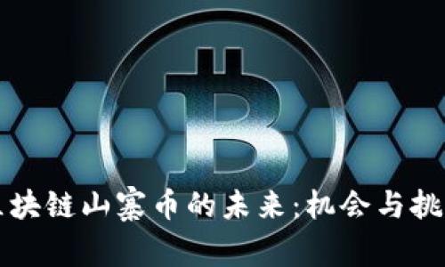 区块链山寨币的未来：机会与挑战