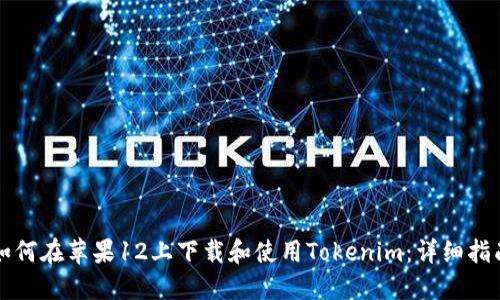 如何在苹果12上下载和使用Tokenim：详细指南