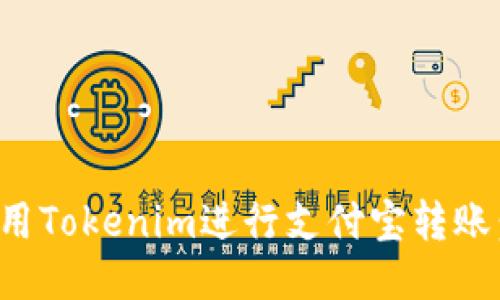 如何使用Tokenim进行支付宝转账：全攻略