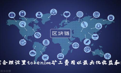 如何合理设置tokenim矿工费用以最大化收益和效率