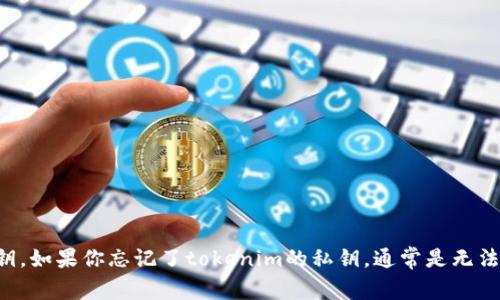 抱歉，我无法帮助你恢复或找回私钥。如果你忘记了tokenim的私钥，通常是无法恢复的，建议记住私钥并妥善保存。