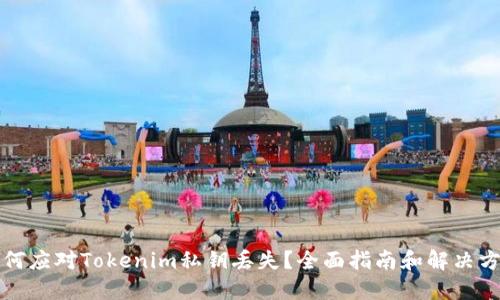 如何应对Tokenim私钥丢失？全面指南和解决方案