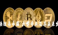 探寻区块链与币圈：大学专业及其未来发展趋势