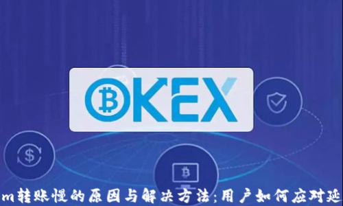 
Tokenim转账慢的原因与解决方法：用户如何应对延迟问题