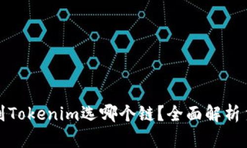 火币提币到Tokenim选哪个链？全面解析主流链优劣