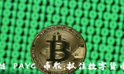   
投资区块链 PAYC 币股：抓住数字货币浪潮之机