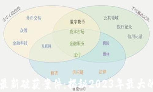
区块链传销案最新破获案件：揭秘2023年最大的非法融资骗局