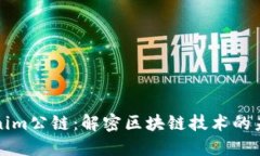 探索Tokenim公链：解密区块链技术的未来与应用
