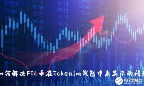 如何解决FIL币在Tokenim钱包中未显示的问题