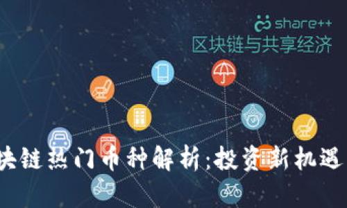 2023年区块链热门币种解析：投资新机遇与风险提示