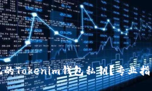 如何找回忘记的Tokenim钱包私钥？专业指南与解决方案
