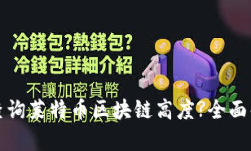 如何通过官网查询莱特币区块链高度?全面解析和操作指南