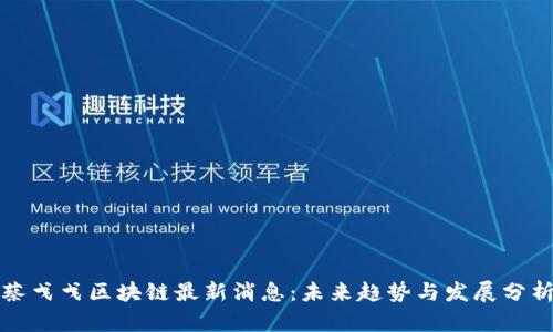 蔡戈戈区块链最新消息：未来趋势与发展分析