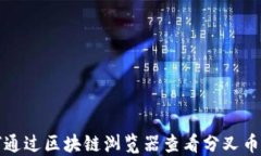 如何通过区块链浏览器查看分叉币信息