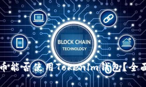 狗狗币能否使用Tokenim钱包？全面解析