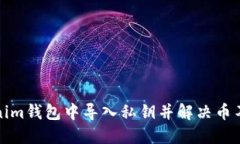 如何在Tokenim钱包中导入私钥并解决币不显示的问