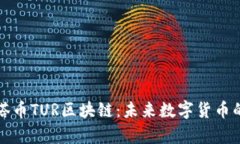 深入探索角塔币TUR区块链：未来数字货币的前景