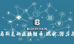 探讨马斯克的区块链币：现状、潜力与未来