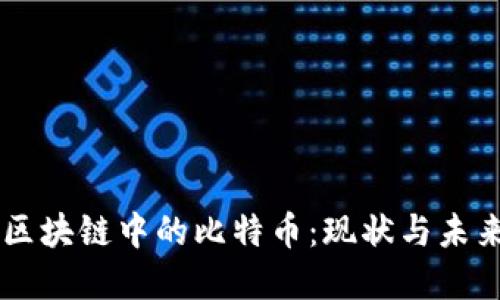 中国区块链中的比特币：现状与未来展望