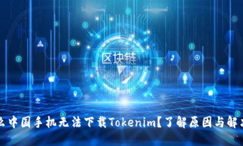 为什么中国手机无法下载Tokenim？了解原因与解决方案