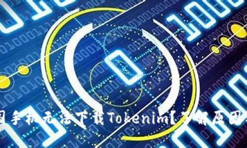 为什么中国手机无法下载Tokenim？了解原因与解决方案