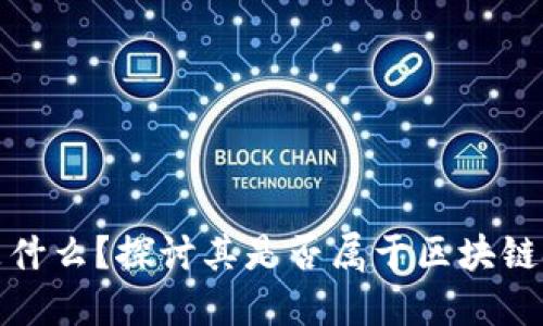 抖币究竟是什么？探讨其是否属于区块链技术的范畴