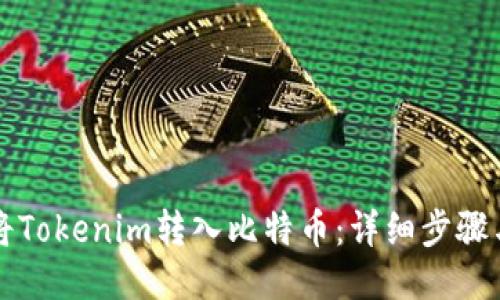 如何将Tokenim转入比特币：详细步骤与指南