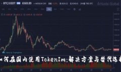 如何在国内使用TokenIm：解决方案与替代选择