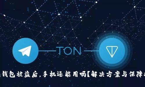 Tokenim钱包被盗后,手机还能用吗?解决方案与保障措施详解