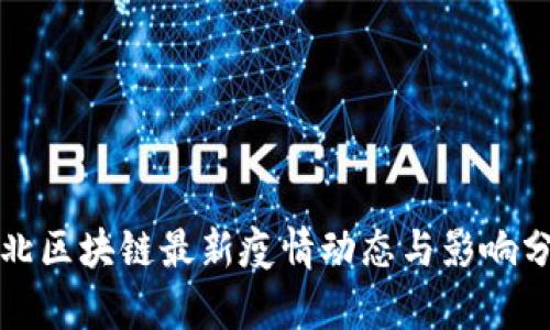 河北区块链最新疫情动态与影响分析